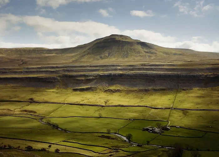 The Traddock Austwick